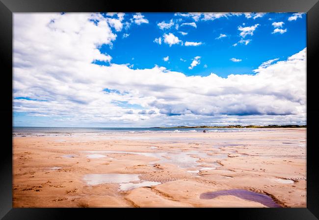 Beadnell beach beauty Framed Print by Naylor's Photography