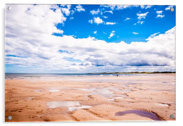 Beadnell beach beauty Acrylic by Naylor's Photography