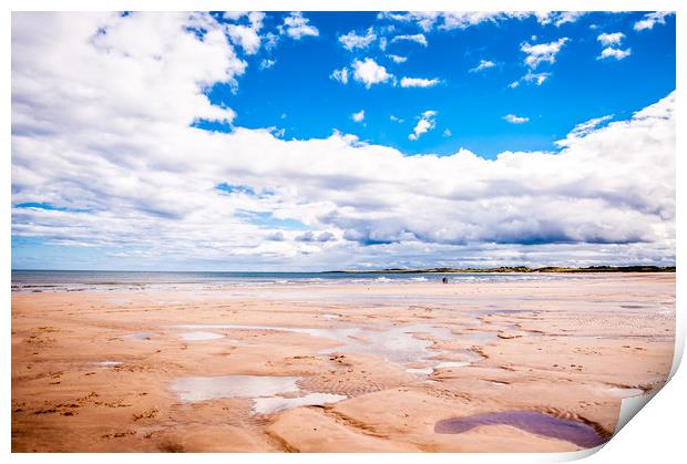 Beadnell beach beauty Print by Naylor's Photography