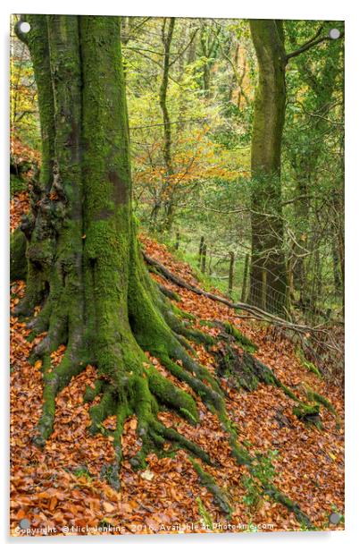 The Beech Tree Burrator Dartmoor National Park Acrylic by Nick Jenkins