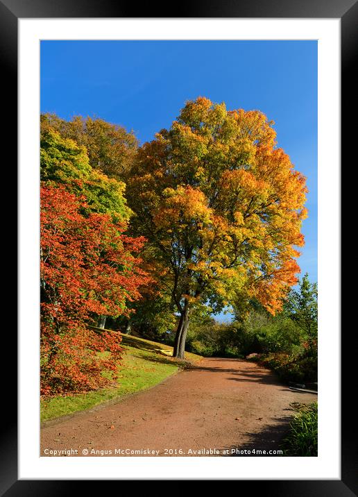 Autumn walk Framed Mounted Print by Angus McComiskey