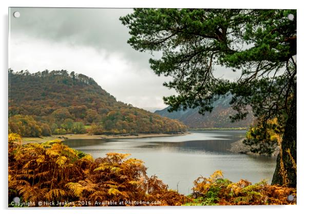 Garreg Ddu Reservoir Autumn Elan Valley Mid Wales Acrylic by Nick Jenkins
