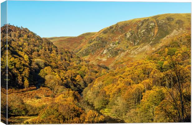 Autumn in the Doethie Valley Carmarthenshire Wales Canvas Print by Nick Jenkins