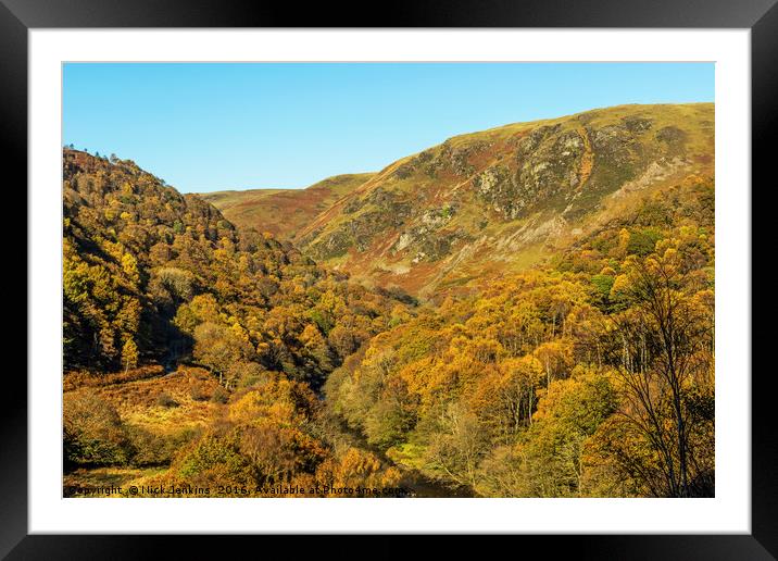 Autumn in the Doethie Valley Carmarthenshire Wales Framed Mounted Print by Nick Jenkins