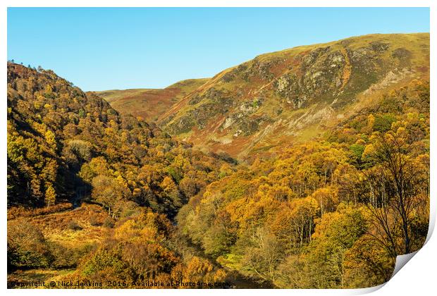Autumn in the Doethie Valley Carmarthenshire Wales Print by Nick Jenkins