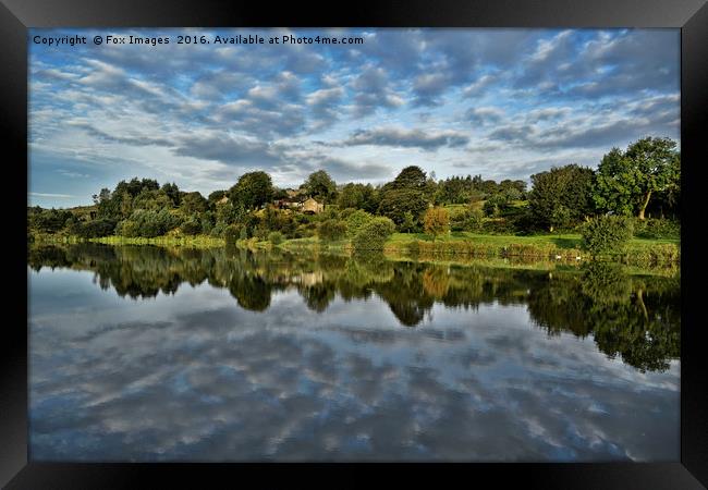 Reflections on the water Framed Print by Derrick Fox Lomax