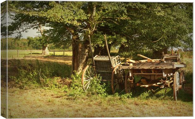 Country Carts Canvas Print by Ian Merton