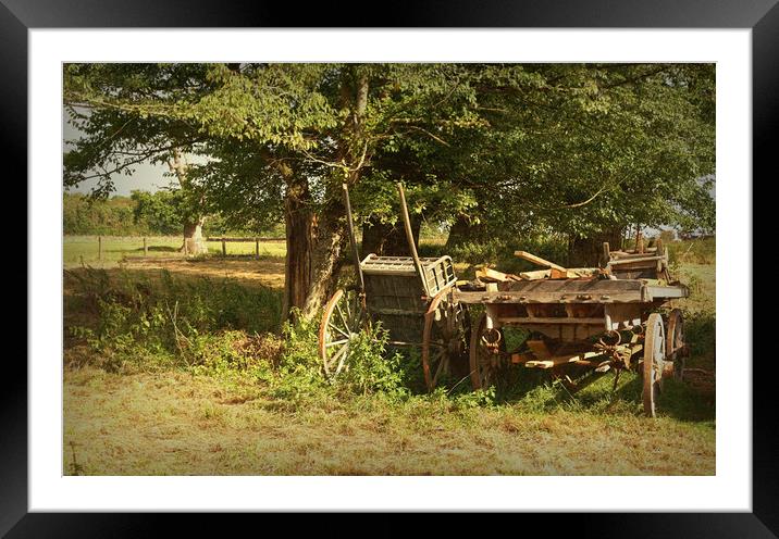 Country Carts Framed Mounted Print by Ian Merton