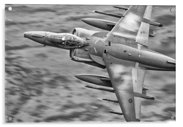RAF Harrier Acrylic by Rory Trappe