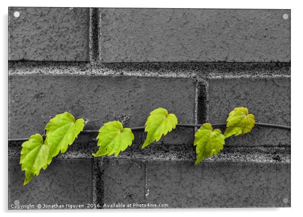 Green Leaves Acrylic by jonathan nguyen