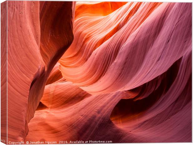 The Natural Structure 2 Canvas Print by jonathan nguyen