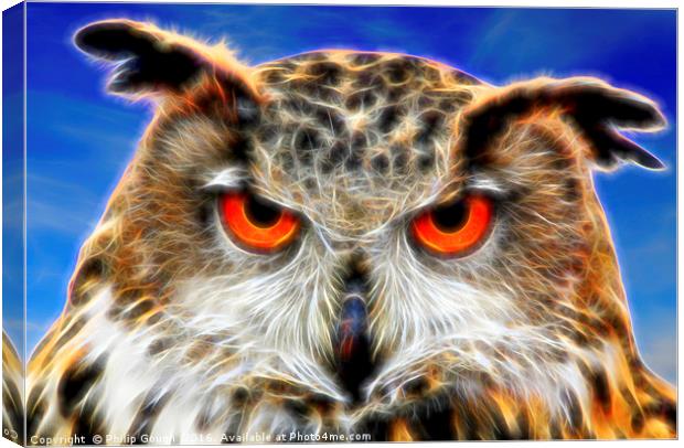 Look Into My Eyes Canvas Print by Philip Gough