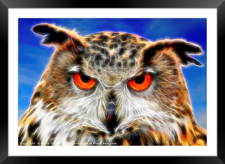 Look Into My Eyes Framed Mounted Print by Philip Gough