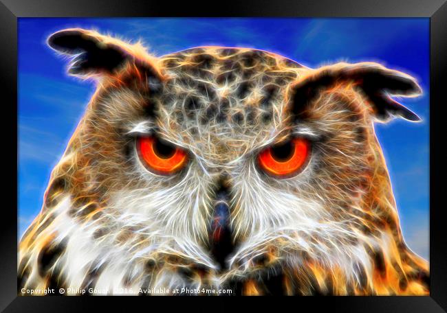 Look Into My Eyes Framed Print by Philip Gough
