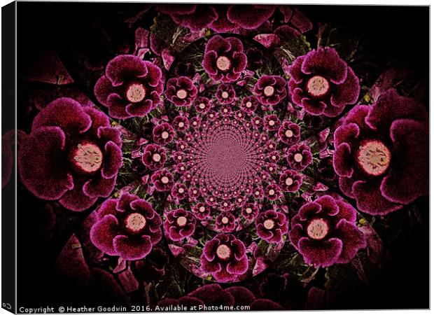 Flowering Velvet. Canvas Print by Heather Goodwin