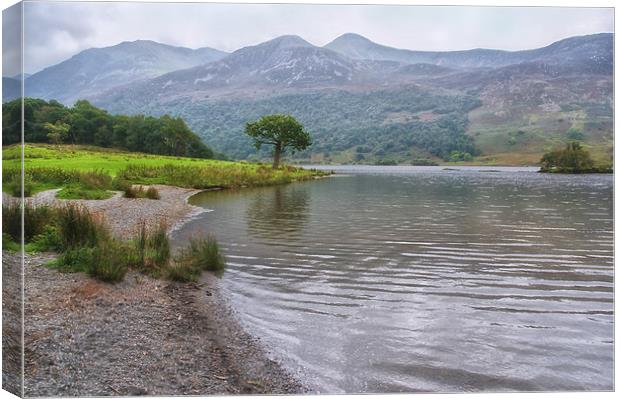 Crummock Water Misty Morning Canvas Print by Jacqi Elmslie