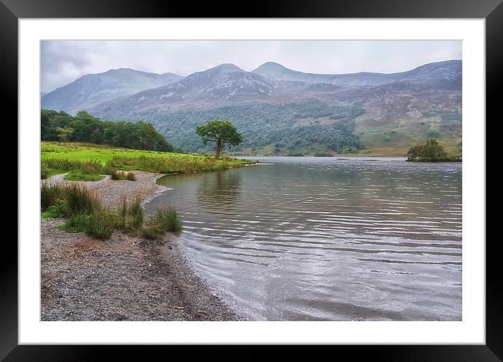 Crummock Water Misty Morning Framed Mounted Print by Jacqi Elmslie