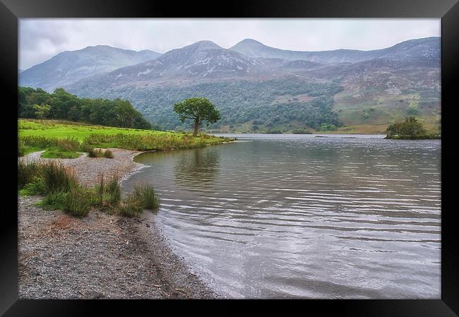 Crummock Water Misty Morning Framed Print by Jacqi Elmslie