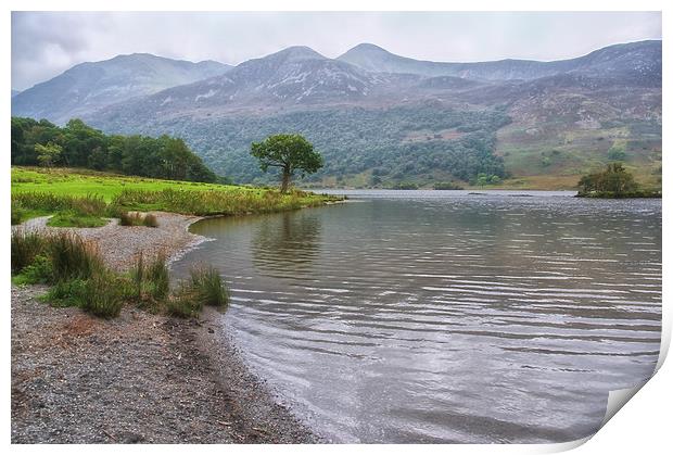 Crummock Water Misty Morning Print by Jacqi Elmslie