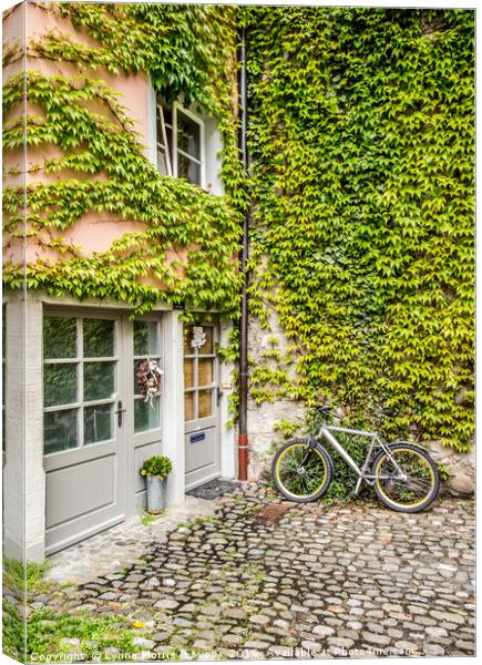 Bike and Ivy Canvas Print by Lynne Morris (Lswpp)