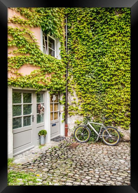 Bike and Ivy Framed Print by Lynne Morris (Lswpp)