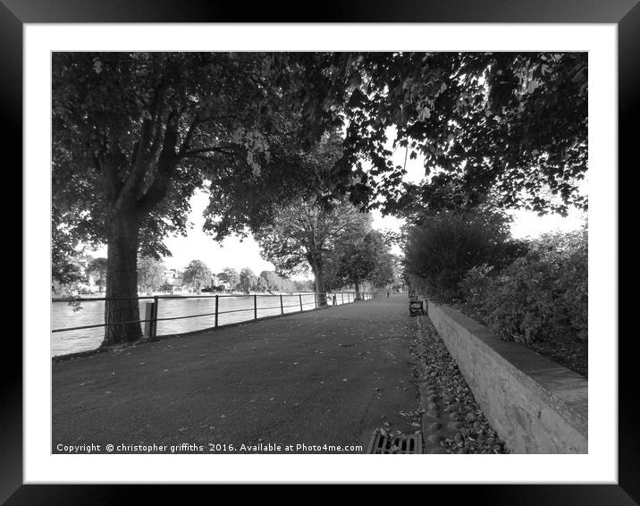 Black & White Trees Framed Mounted Print by christopher griffiths