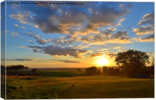 Sunset on the golf course Canvas Print by Derrick Fox Lomax
