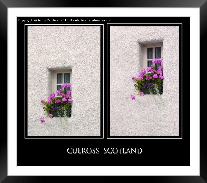 Two Windows with Geranium. Culross. Scotland Framed Mounted Print by Jenny Rainbow