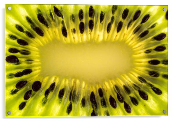 Kiwi Fruit Macro Acrylic by Gavin Liddle