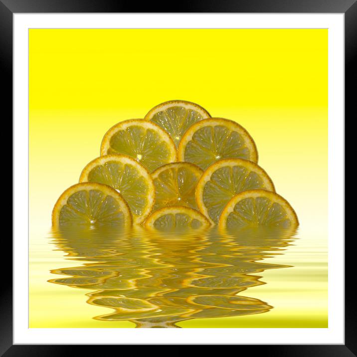 Slices Lemon Citrus Fruit Framed Mounted Print by David French