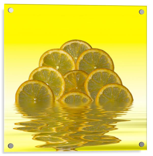Slices Lemon Citrus Fruit Acrylic by David French