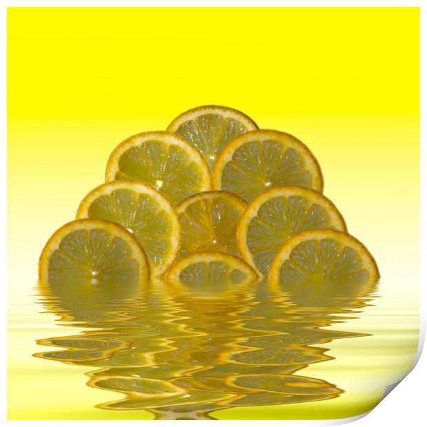Slices Lemon Citrus Fruit Print by David French