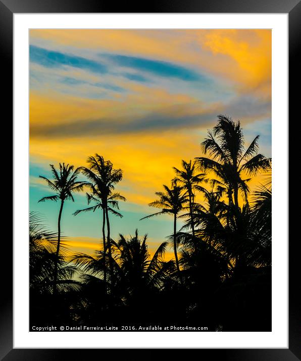 Palm Trees and Sunset Sky Jericoacoara Brazil Framed Mounted Print by Daniel Ferreira-Leite