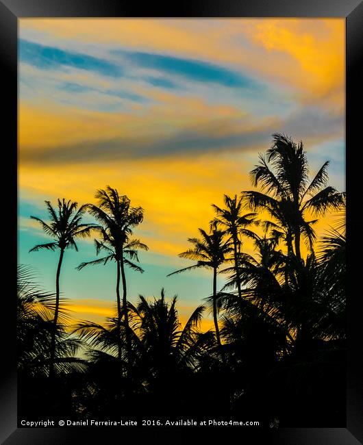 Palm Trees and Sunset Sky Jericoacoara Brazil Framed Print by Daniel Ferreira-Leite