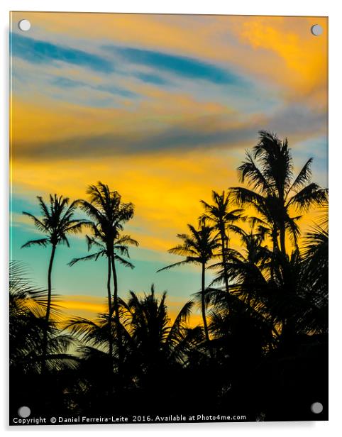 Palm Trees and Sunset Sky Jericoacoara Brazil Acrylic by Daniel Ferreira-Leite