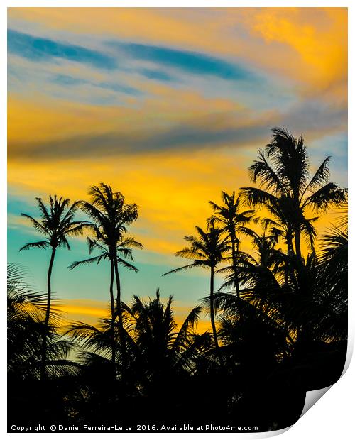 Palm Trees and Sunset Sky Jericoacoara Brazil Print by Daniel Ferreira-Leite