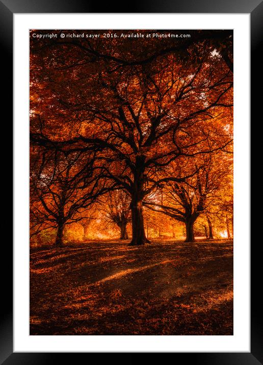 Falling Free Framed Mounted Print by richard sayer