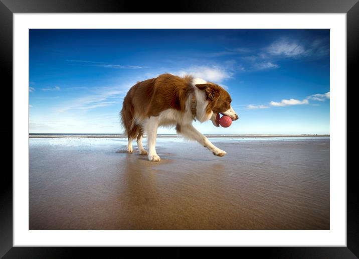 Caley on the Beach Framed Mounted Print by Alan Simpson
