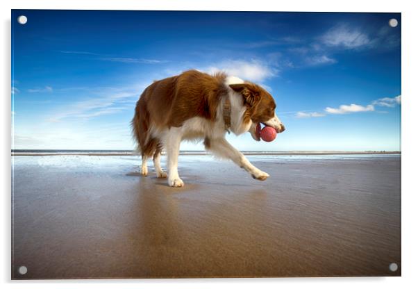 Caley on the Beach Acrylic by Alan Simpson