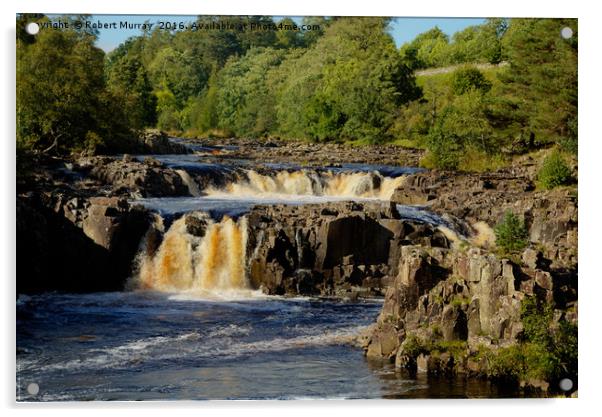 Low Force Acrylic by Robert Murray