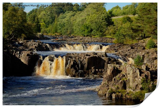 Low Force Print by Robert Murray