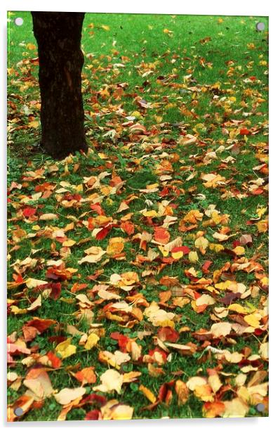 Fallen leaves on green grass Acrylic by Alfredo Bustos