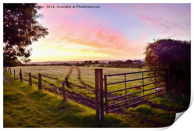 Early morning countryside Print by Derrick Fox Lomax