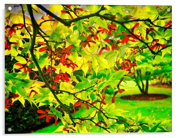 Acer Acrylic by Victor Burnside
