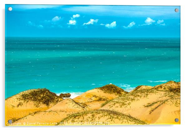 Dunes and Ocean Jericoacoara Brazil Acrylic by Daniel Ferreira-Leite