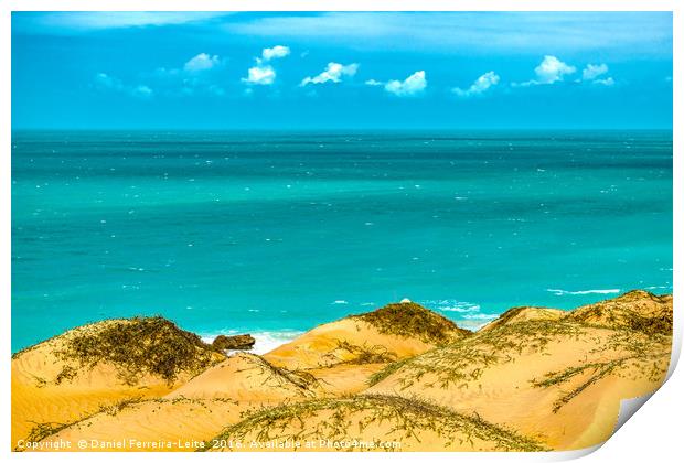Dunes and Ocean Jericoacoara Brazil Print by Daniel Ferreira-Leite