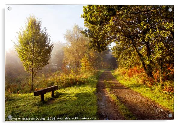 Autumn Pathway Acrylic by Jackie Davies