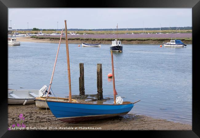 Blue boat and Lavender Framed Print by Sally Lloyd