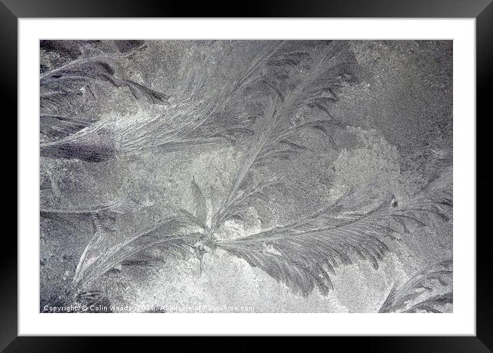 Ice crystals on a window Framed Mounted Print by Colin Woods