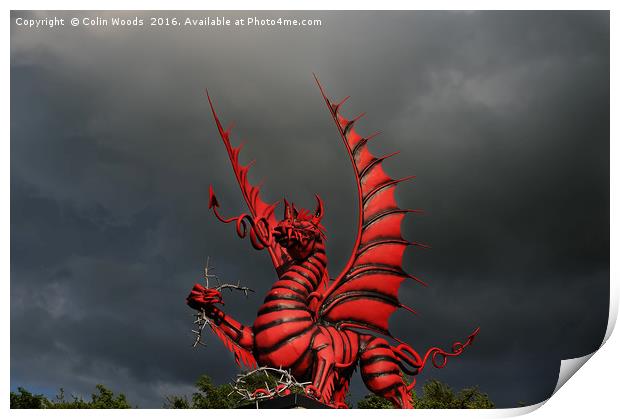 The Mametz Dragon Print by Colin Woods
